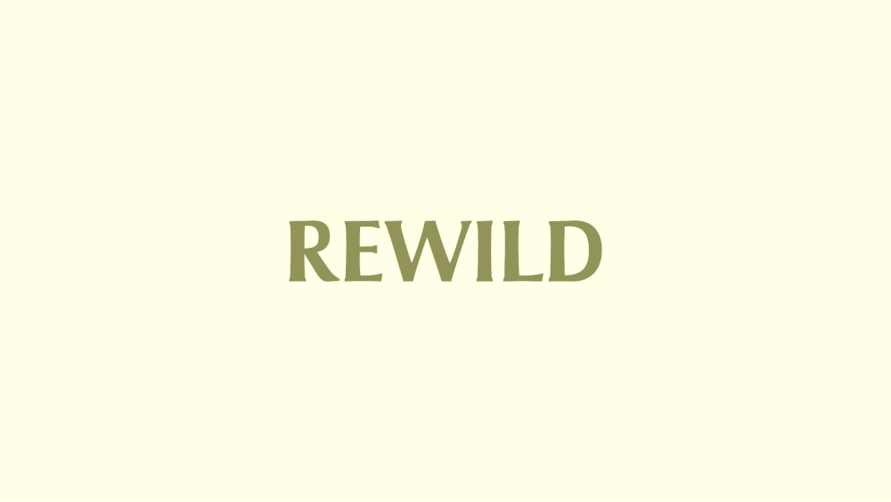 Rewild branding