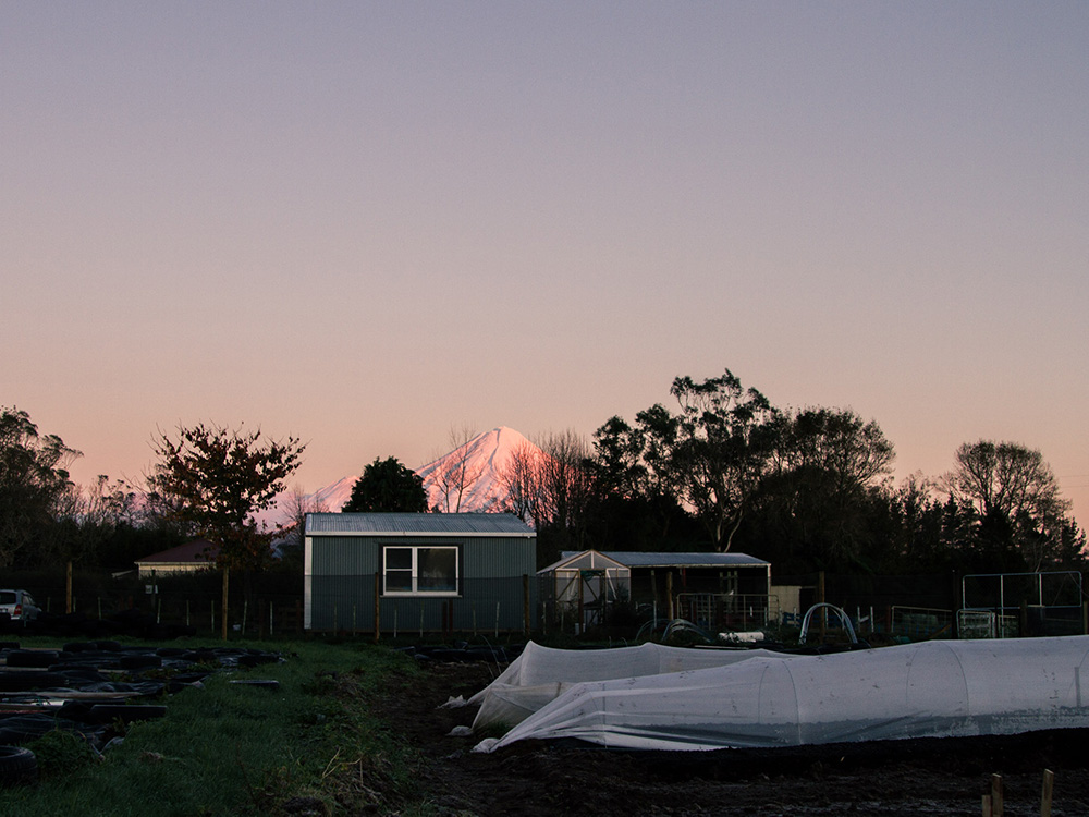 Image of a mountain behind the farm