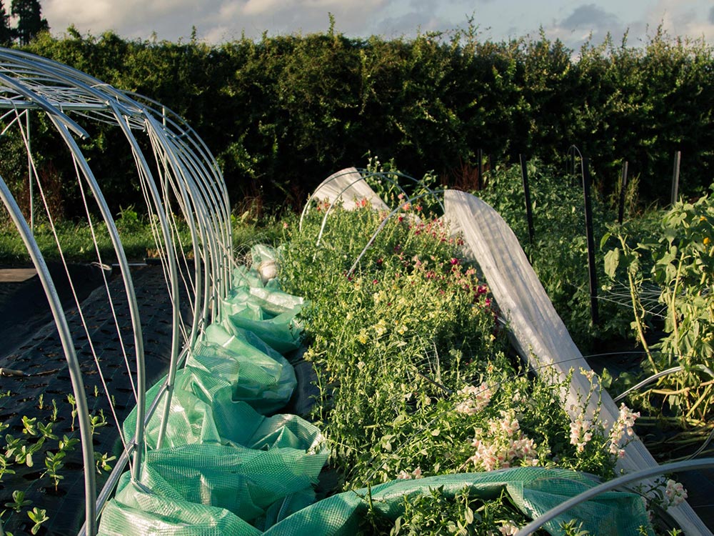 Image of destruction at the farm