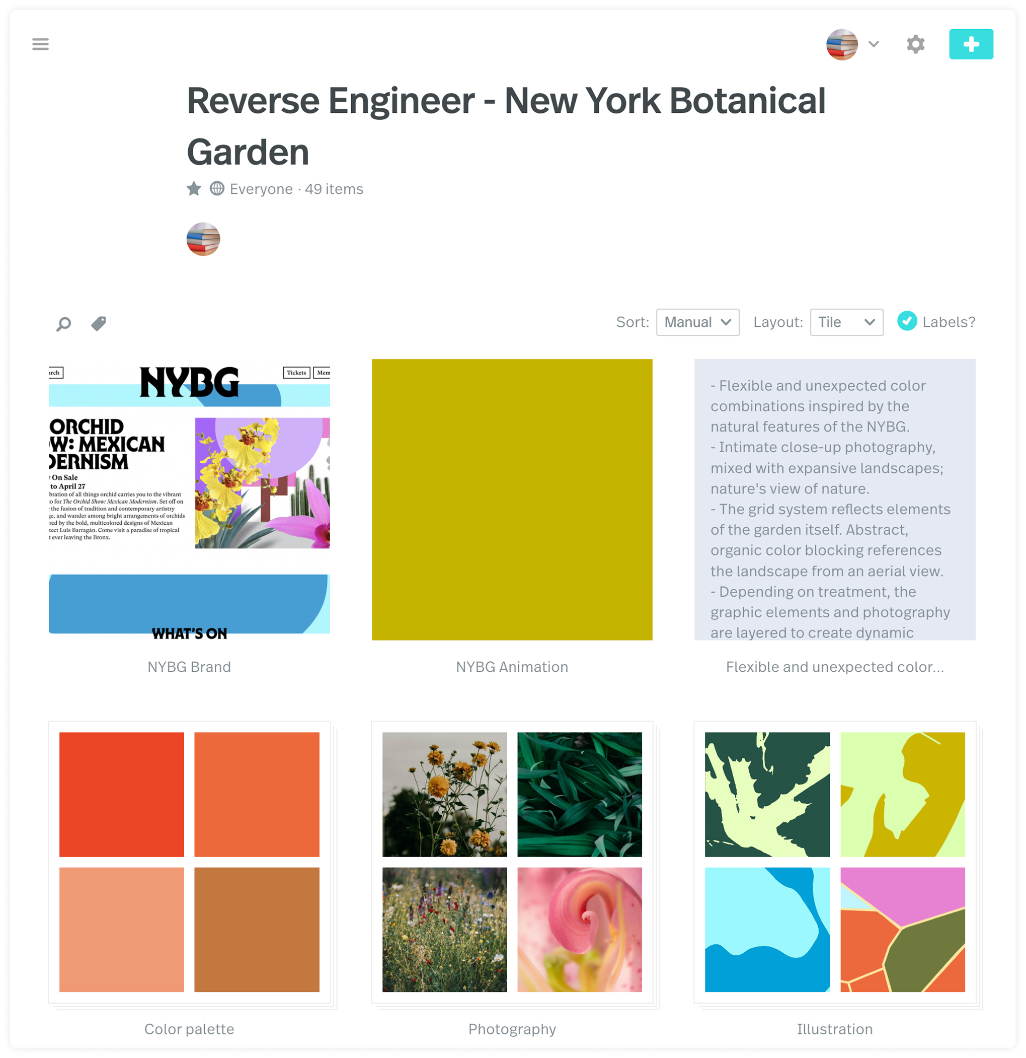 collection-50e3a3.png