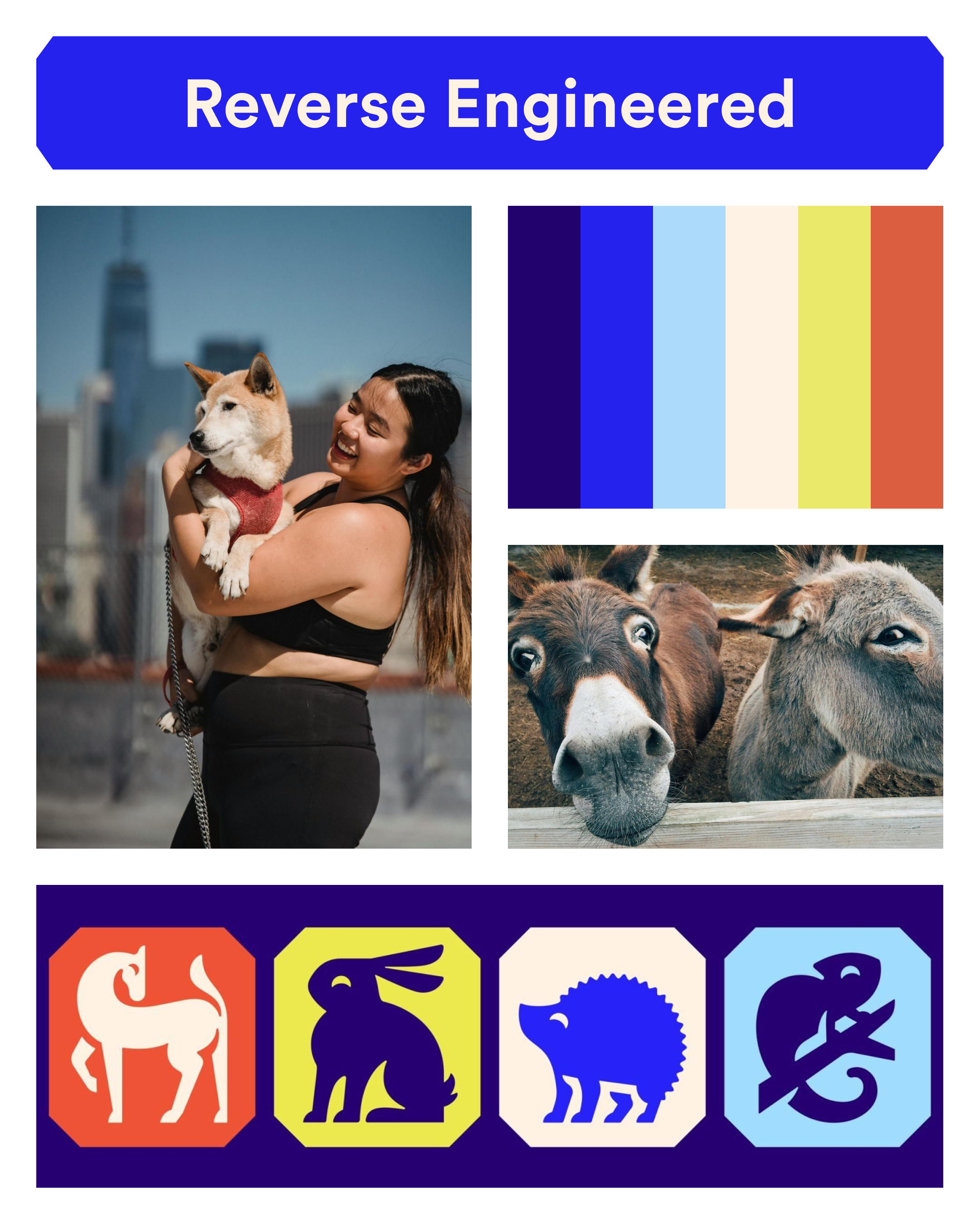 rspca-moodboard.png